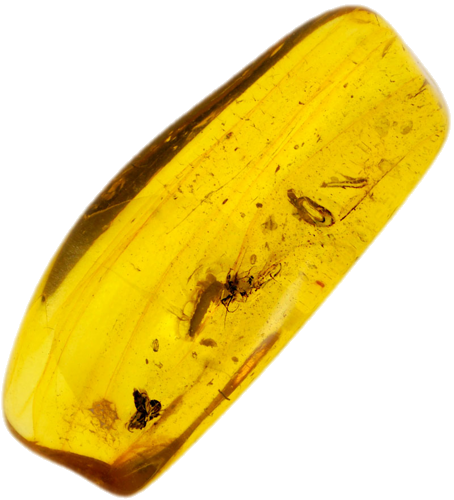 2,65 g Amber Nugget with inclusion (1)