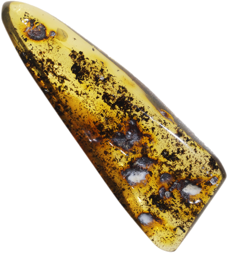 8,40 g Amber nugget (1)