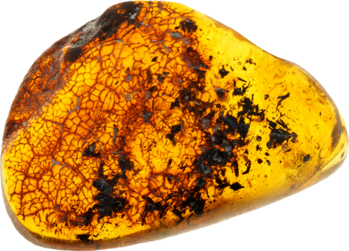 11,30 g Dzintara gabals (1)