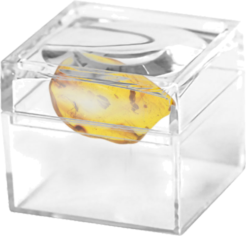 1,60 g Amber Nugget with inclusion (2)