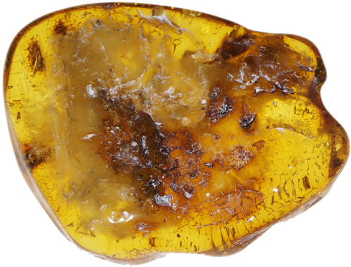 8,65 g Gintaro grynuolis (1)