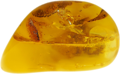 11,85 g Gintaro grynuolis (2)