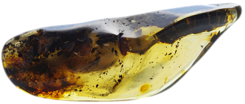 67,10 g Amber Nugget (1)