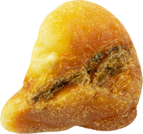 10,60 g Jūrinio Gintaro grynuolis (3)