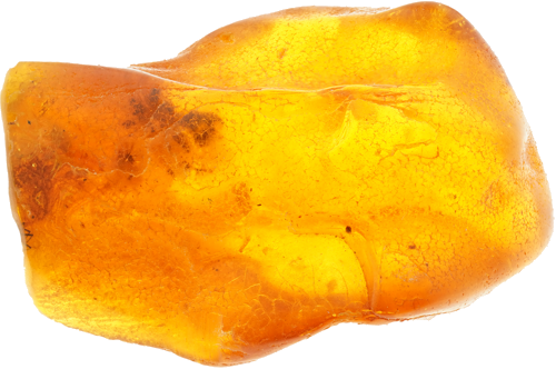 9,00 g Amber Nugget with inclusion (2)