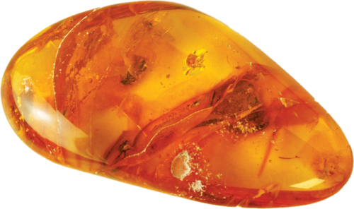 11,35 g Amber Nugget with inclusion (1)