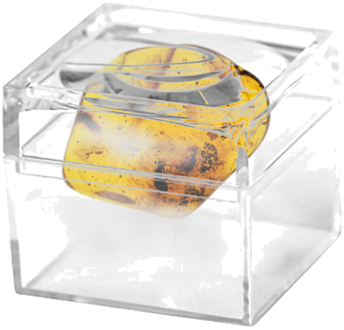 2,85 g Amber Nugget with inclusion (2)