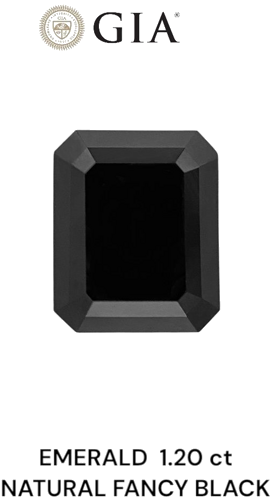 1.2 carat Fancy Black-VVS2 Natūralus Emerald Deimantas (1)
