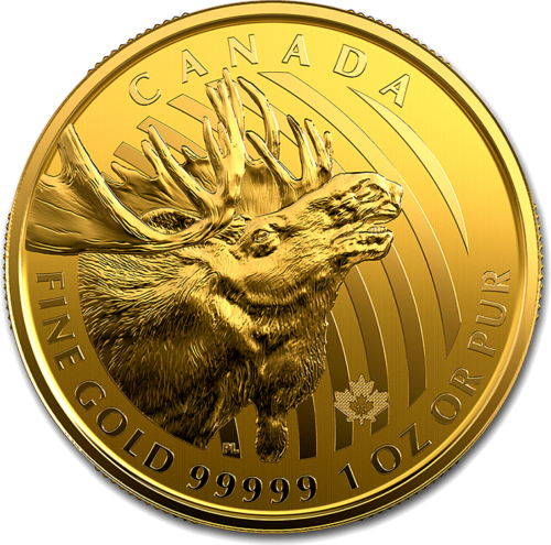 2019 Canadian Moose 1 oz gold 99999 coin (1)