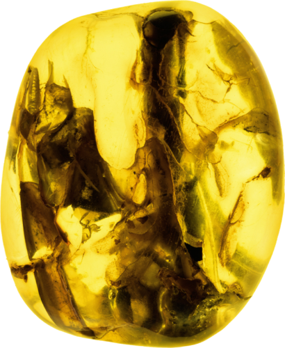 39,75 g Gintaro grynuolis su inkliuzu (1)