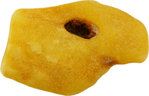 4.80 g Amber Nugget (3)