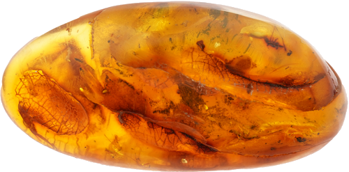 21,40 g Amber Nugget with inclusion (2)