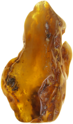 29,70  g Gintaro grynuolis (2)