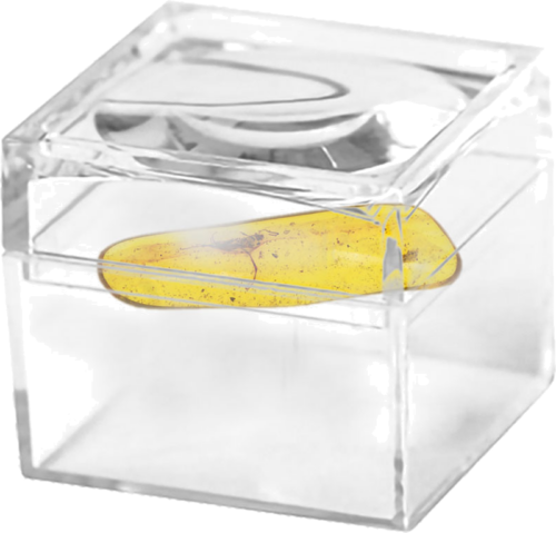 0,7 гр. Самороден кехлибар с фосил (2)