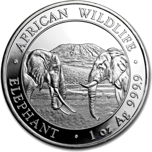 2020 Somalia Elephants 100 shillings 1 oz silver coin (1)