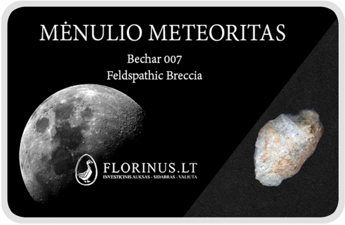 Lunar Meteorite (1)