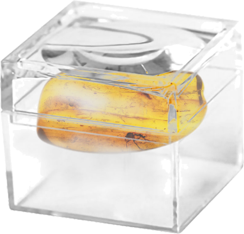 1,55 g Amber Nugget with inclusion (2)