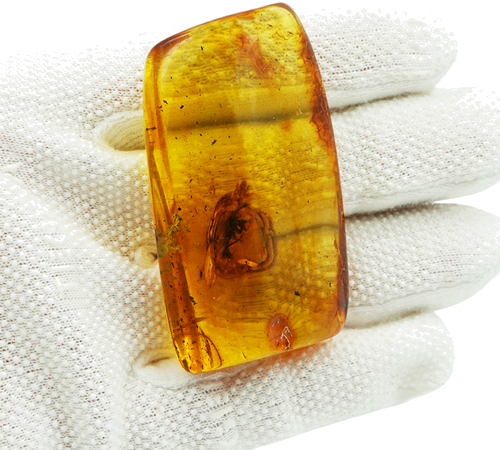 32,65 g Amber Nugget with bug inclusion (3)