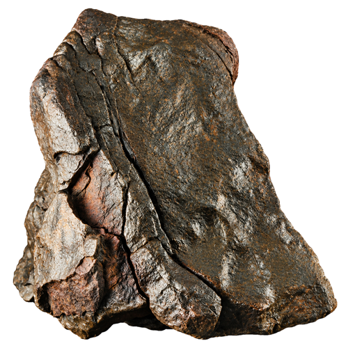 5586 g Meteorite (1)