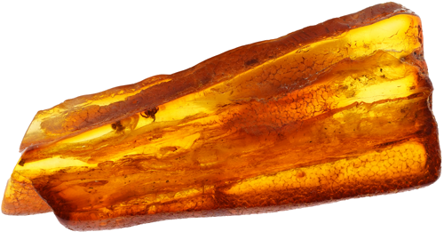 12,70 g Gintaro grynuolis su inkliuzu (1)