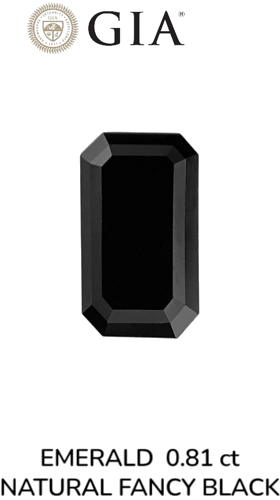 0.81 carat Fancy Black-VVS2 Natūralus Emerald Deimantas (1)