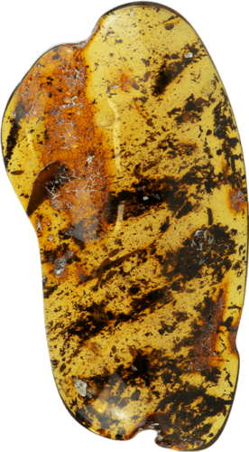 10,95 g Amber nugget (2)