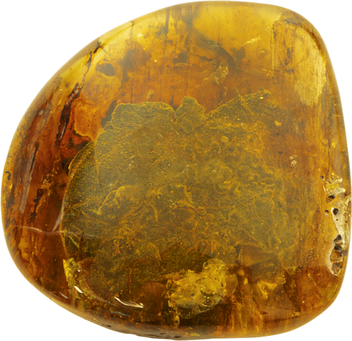 34,40 g Amber nugget with tree bark inclusion (1)