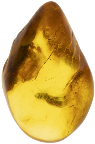 1,55 g Amber nugget with inclusion (1)