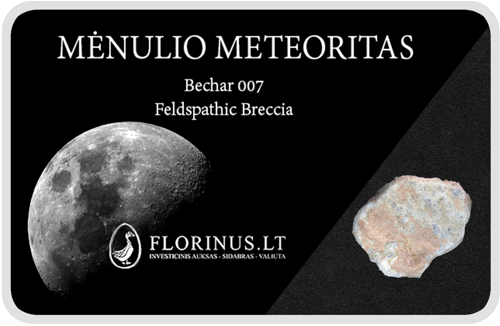 Mėnulio meteoritas (1)