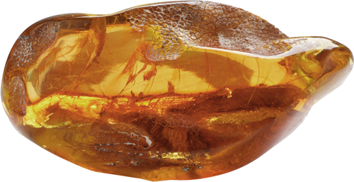 36,85g Amber nugget (1)