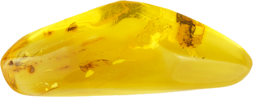 13,50 g Amber Nugget with fly inclusion (1)
