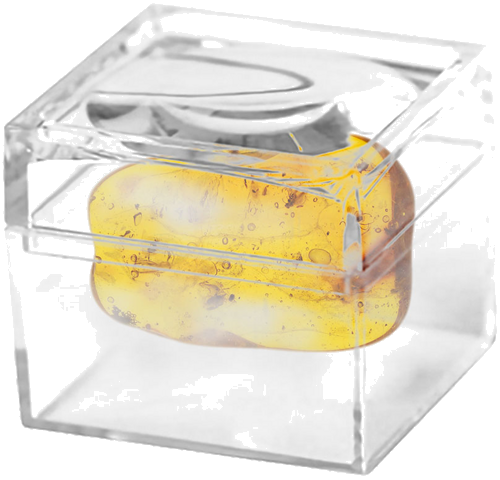 2,40 гр. Самороден кехлибар със 6 фосила (2)