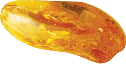 13,75 g Gintaro grynuolis su inkliuzu (1)