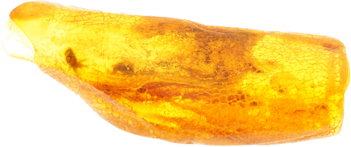 9,00 g Amber Nugget with inclusion (3)