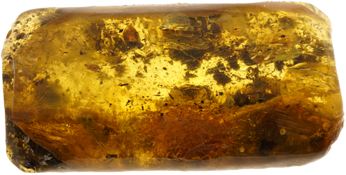 4,80 g Gintaro grynuolis (2)