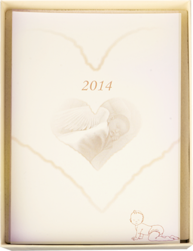 1/2 oz Newborn Baby Virgin Islands Silver Coin (7)