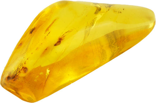 13,50 g Gintaro grynuolis su inkliuzais (3)