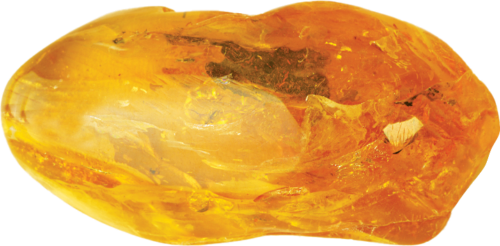 13,75 g Gintaro grynuolis su inkliuzu (3)