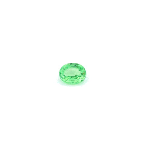 0.3 carat GREEN Oval Garnet (1)