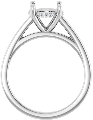 Sužadėtuvių Žiedas „Hidden Halo-Style“ 14k white gold Round 8mm (2)