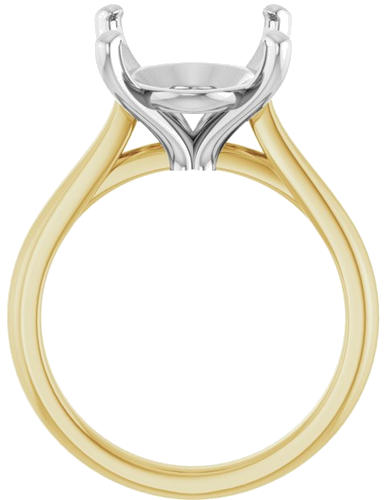 Sužadėtuvių Žiedas 14k yellow/white gold Oval 16mm x 12mm (2)