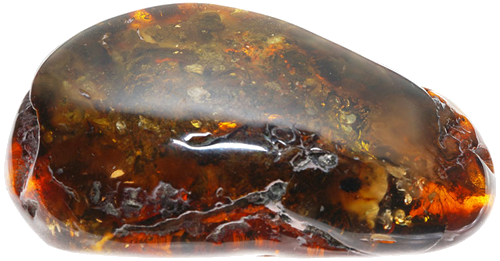 31,60 g Amber nugget (2)