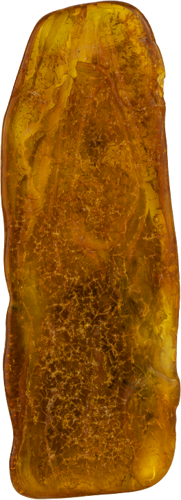 3,60 g Amber nugget with inclusion (2)