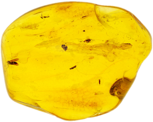 5,90 g Amber Nugget with inclusion (1)