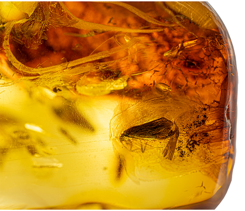 20,55 g Amber Nugget with inclusion (2)