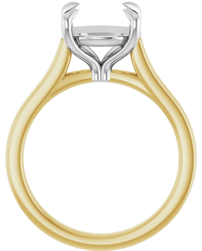 Sužadėtuvių Žiedas „Claw-Prong“ 14k yellow/white gold Round 10mm (2)