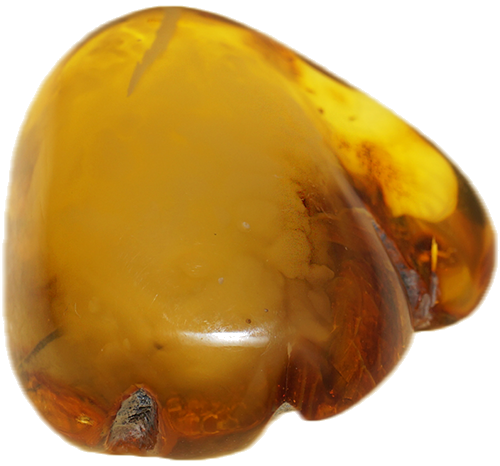 19,55 g Gintaro grynuolis (3)