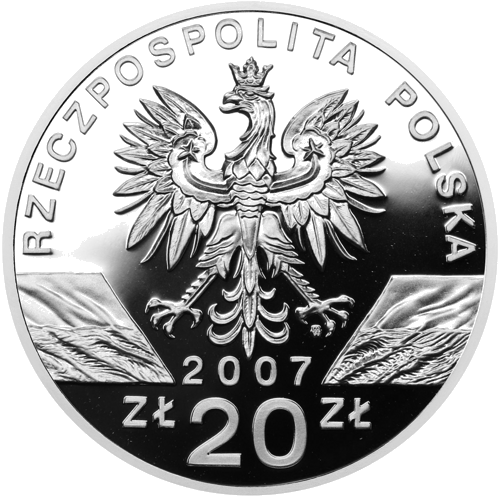 20 злотых Серый тюлень 2007 Польша серебряная монета (2)