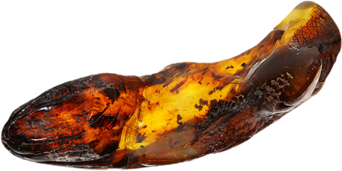 31,60 g Amber nugget (2)