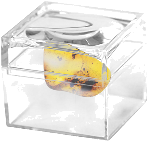 Самородок янтаря с инклюзом 0,80 г (2)